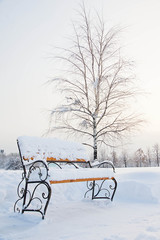 Wall Mural - bench and trees in the snow in winter