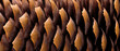 Leinwanddruck Bild - Dry spruce cone