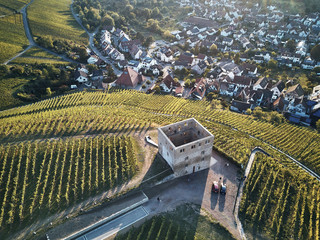Wall Mural - vineyards landscape on the hill from top with drone. Old stone ruin in the middle of the field. Green structure nature, dji