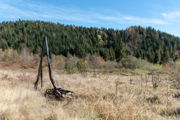 Two retro double-barreled shotgun on the glade in the forest. Hunting Gear