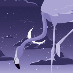 Poster - flamingo bird in the night