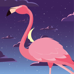 Poster - flamingo bird in the night