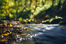 Long Exposure Of A River Creek With A Small Waterfall. Sunset And Strong Detail Bokeh View. Blue Calm Warm Water