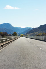 Wall Mural - A state highway bridge in scenic New Zealand