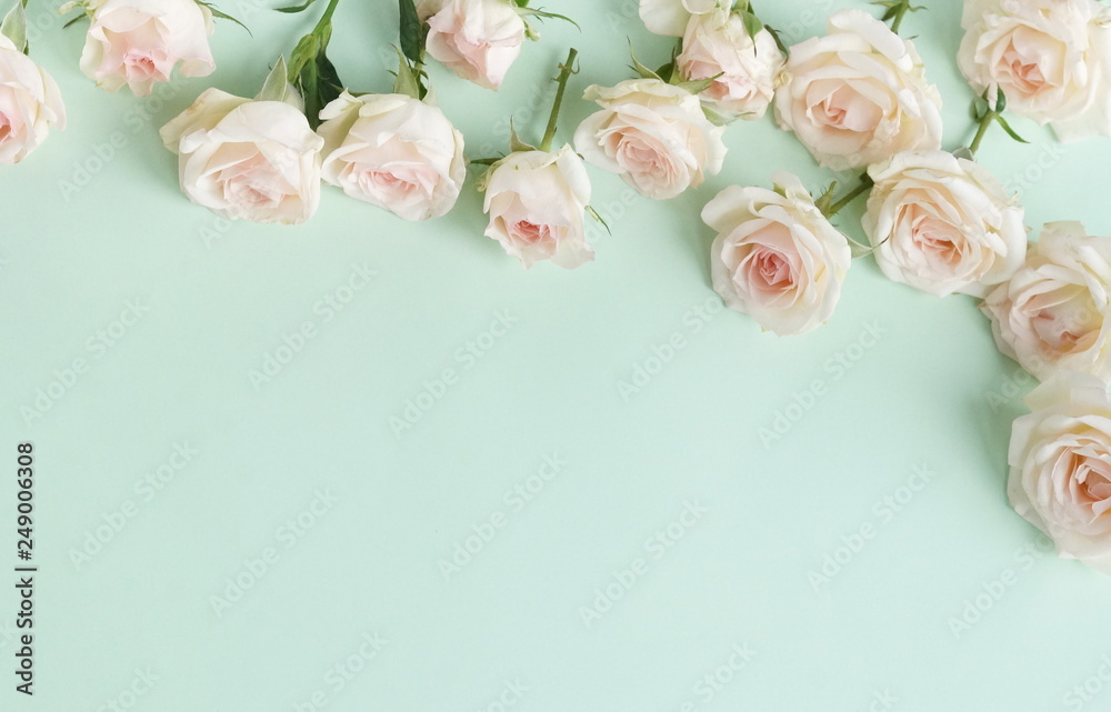 Flowers composition background. beautiful pale pink roses on pale blue ...