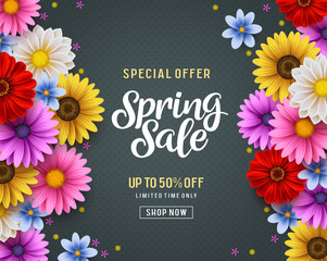 Wall Mural - Spring special offer vector banner background with spring season sale text and colorful chrysanthemum and daisy flowers elements in yellow background. Vector illustration.