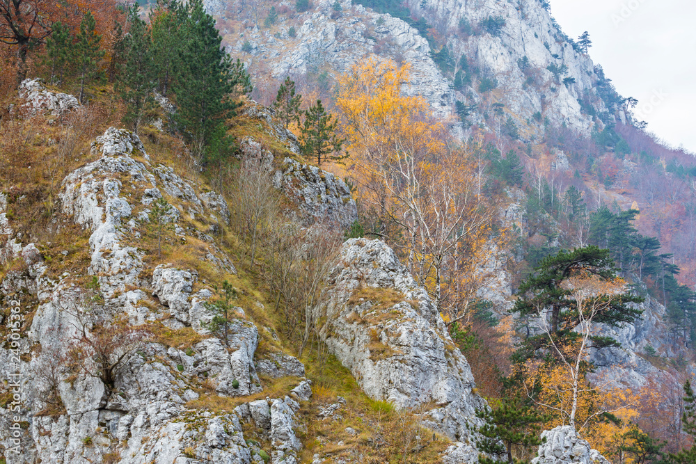 Autumn landscape in limestone mountains, with beautiful foliage, mist ...