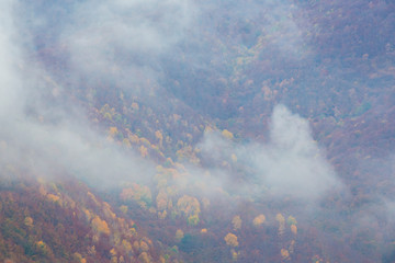 Beautiful autumn scenery in the mountains with mist clouds, pine trees and colorful foliage