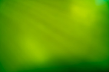 abstract green background