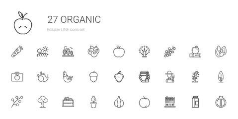 Sticker - organic icons set