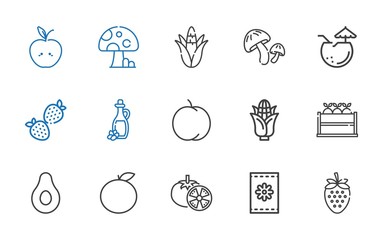 Wall Mural - vegetarian icons set