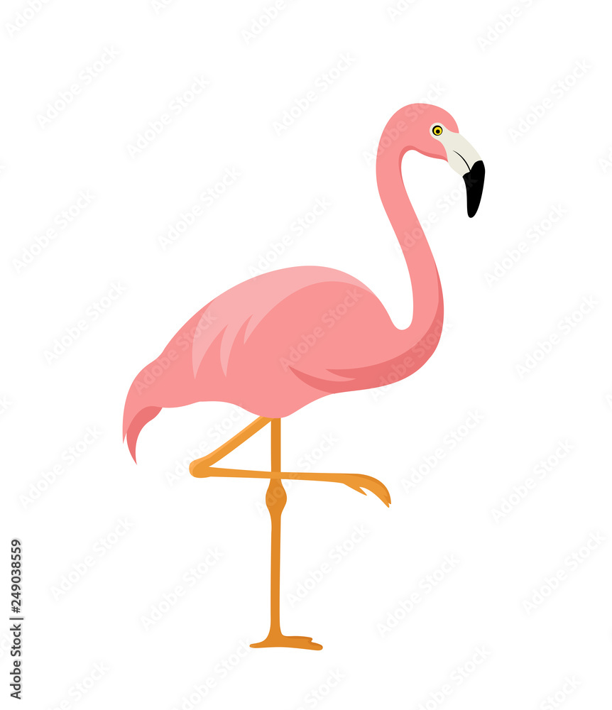 pink flamingo isolated on white background - obrazy, fototapety, plakaty 