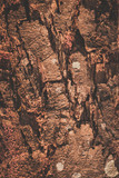 Fototapeta Morze - wooden texture background