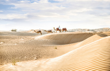 Man wearing traditional clothes, taking a camel out on the desert sand, in Dubai