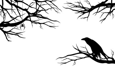 Wall Mural - spooky raven bird among bare tree branches with spider - halloween theme black vector silhouette des