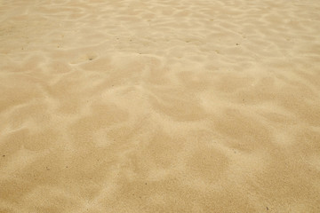 Wall Mural - Sand beach texture