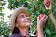 Woman in straw hat holds red ripe apples in hand. Concept of harvesting, gardening and agriculture