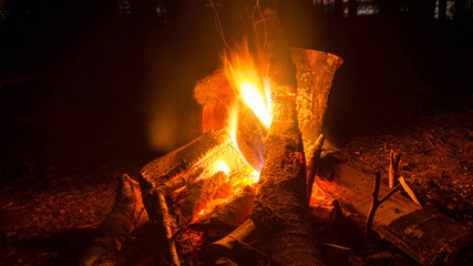 Bonfire night in the forest. Protect the environment.