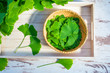 © jurgal - Leaves of the ginkgo biloba or ginko tree. View from above. Selected leaves on a table and on a dish prepared for further use.