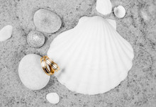 Selective Focus On Two Golden Wedding Rings On Nice Golden Sand, Surrounded By White Tropical Sea Shells. Tropical Wedding Or Honeymoon Destination Background Concept. Studio Shot. Room For Text.