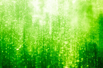 Wall Mural - abstract green bokeh defocus glitter blur background.