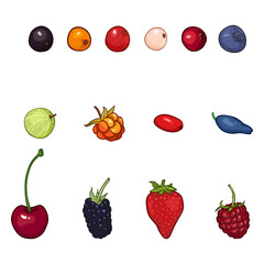 Wall Mural - Vector Set of Cartoon Berries