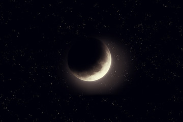 Wall Mural - moon