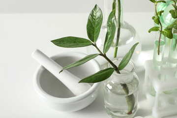 Ceramic mortar and laboratory glassware with plants on white background, closeup. Chemistry concept