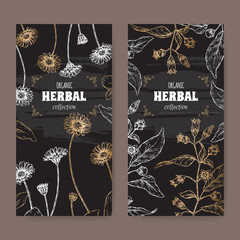 Sticker - Set of two black labels with Bellis perennis aka daisy and Atropa belladonna aka belladonna or deadly nightshade sketch.