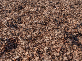 pile of decomposed leaves background