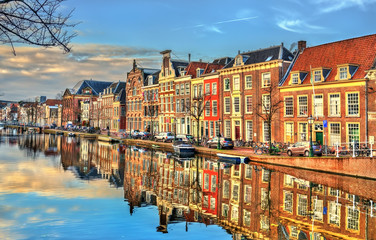 Wall Mural - Traditional houses beside a canal in Leiden, the Netherlands