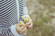 girl hand holding grass flower cute romantic for love background.
