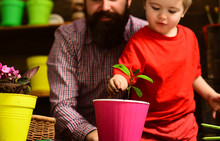 Happy Gardeners With Spring Flowers. Bearded Man And Little Boy Child Love Nature. Flower Care Watering. Soil Fertilizers. Family Day. Greenhouse. Father And Son. Fathers Day. Welcome