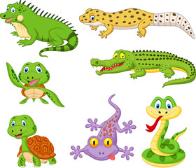 Wall Mural - Cartoon reptiles and amphibians collection set