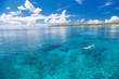 © Atsushi - 青く透明な南国の海