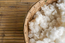 White Cotton From Dry Kapok Fruit In  Bucket.