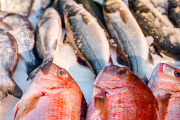 Wall Mural - Fresh red snapper fish on Ice at outdoor fish flea market