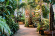© Rudenko - variety of tropical plants and flowers in botanical garden orangery