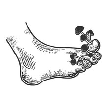 Nail Fungus Disease Mushrooms Metaphor Engraving Vector Illustration. Scratch Board Style Imitation. Black And White Hand Drawn Image.