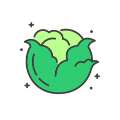 Poster - Cabbage line icon on white background for graphic and web design, Modern simple vector sign. Internet concept. Trendy symbol for website design web button or mobile app