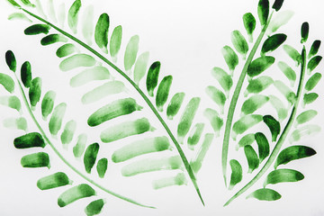 Wall Mural - Top view of plants with green leaves on white background