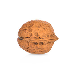 Wall Mural - Walnut isolated on white background.