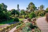 Fototapeta  - Royal Botanical gardens scenic view in Melbourne VicAustralia