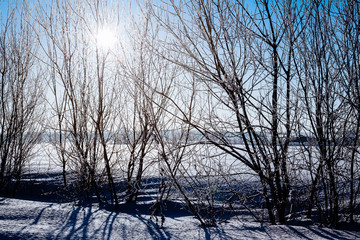 Wall Mural - Beautiful winter landscape