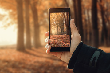  Hand man holding a smart phone to take pictures in the forest during the autumn season