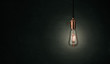 Close up of a vintage, Edison lightbulb over dark background with copy space