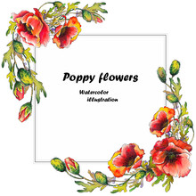 Greeting Card With Red Poppy Flowers. Watercolor Illustration On White Background.