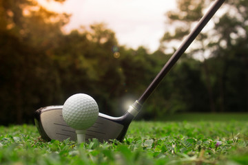 Golf clubs and golf balls on a green lawn