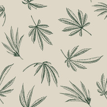 Vector Outline Seamless Pattern Of Hemp Plant On A Beige Background Cannabis Texture