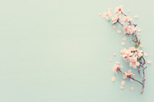 Photo Of Spring White Cherry Blossom Tree On Pastel Blue Wooden Background. View From Above, Flat Lay